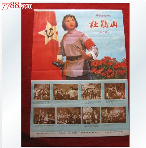 哪里可以办巴基斯坦驾驶证